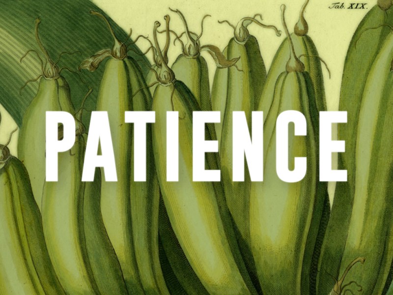 Patience – Fruit of the&nbsp;Spirit